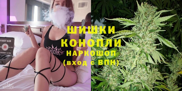 шишки Арсеньев