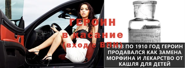 шишки Арсеньев