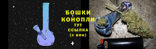 ПСИЛОЦИБИНОВЫЕ ГРИБЫ Балабаново